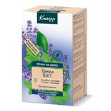 Kneipp kalmerende kruidenthee met melis, 20 builtjes