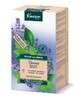 Kneipp kalmerende kruidenthee met melis, 20 builtjes