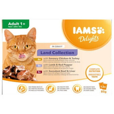 Iams, Adult kattenvoer, 12 x 85g