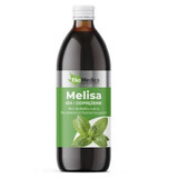 Melisse pyn, 500 ml