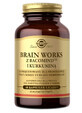 Solgar Brain Works met bacomind en curcumine, 60 capsules