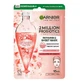 Garnier 2 Millones de Probióticos Fracciones Mascarilla Regeneradora, 22g