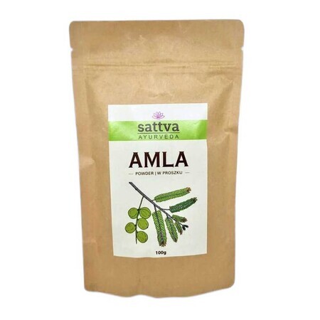 Sattva Ayurveda Amla kruidenwasmasker, 100g