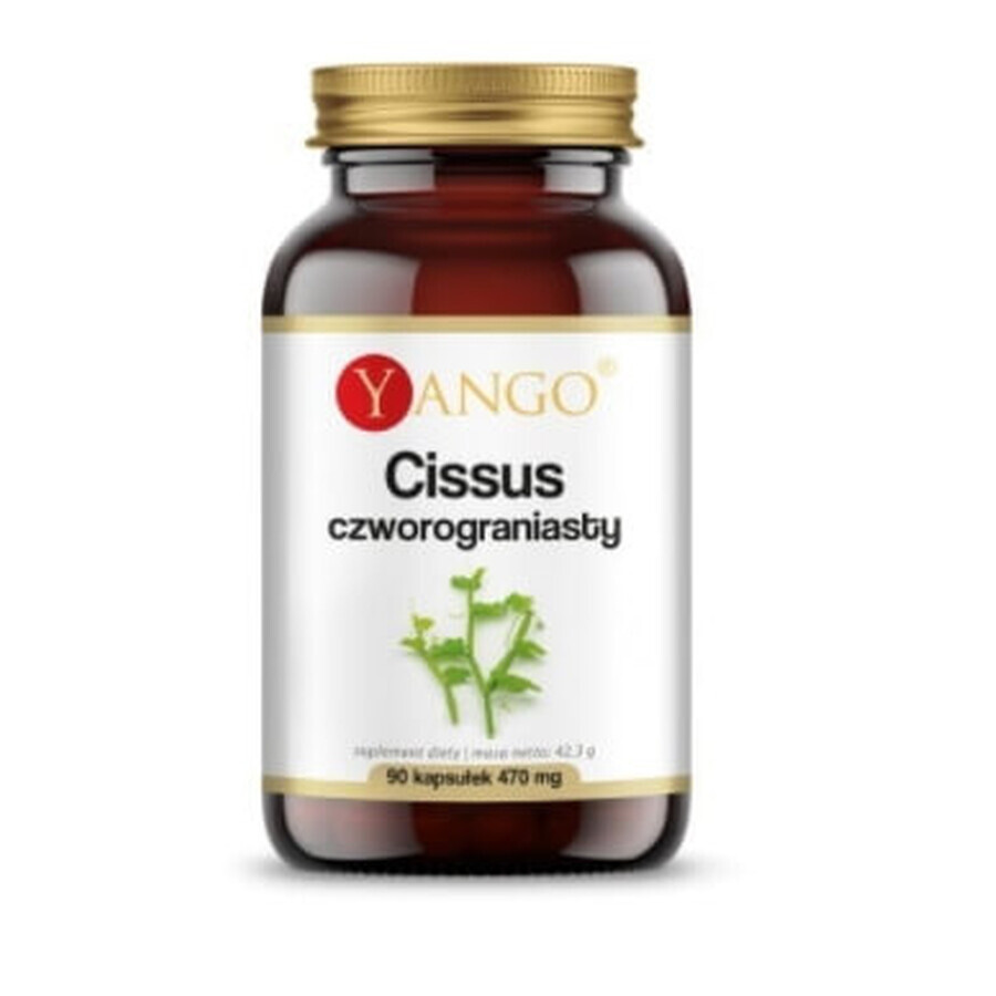 Yango, Cissus quadriplegie, 90 capsules