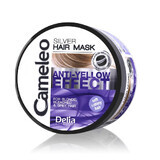 Cameleo Silver haarmasker met antivergelend effect voor blond haar, 200ml