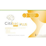 Citibac Plus for memory and concentration, 20 ampoules, Alpha