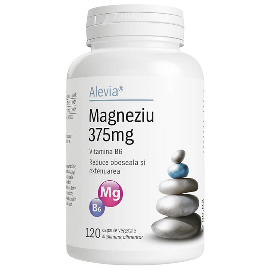 Magnesium 375mg B6, 120 Kapseln, Alevia