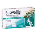 Favea Boswellia met chondroïtine en collageen 30 tabletten