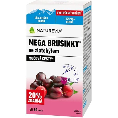 NatureVia Mega blueberries with goldenrod 60 pieces