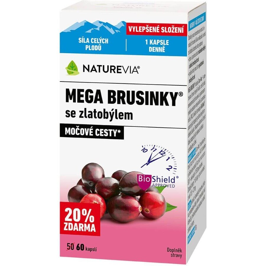 NatureVia Mega blueberries with goldenrod 60 pieces