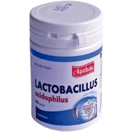 Apotheke Lactobacillus acidophilus 60 cápsulas