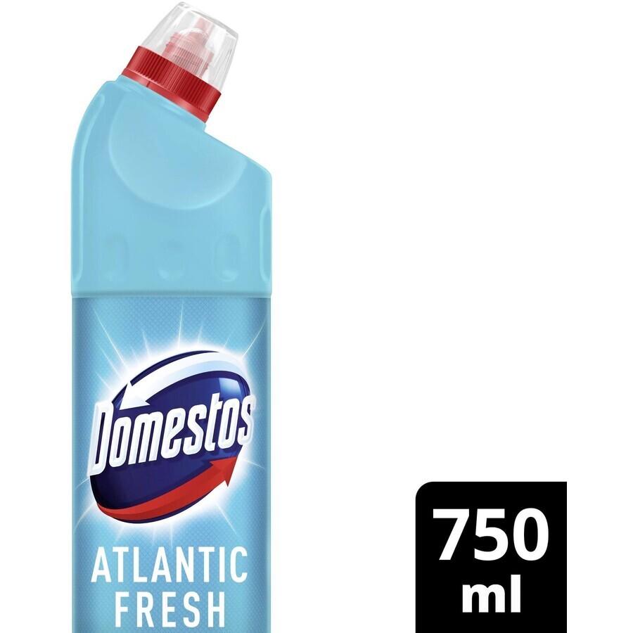 Toiletreiniger Domestos Power atlantic 750 ml