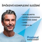 Prostenal Walmark Control 90 tablets