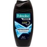 Palmolive SG MEN BLAUW Puur Arct. Koelkast 250 ml