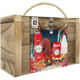 Old Spice Treasure Chest for men - solid deodorant + shower gel + aftershave