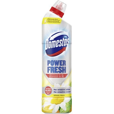 Domestos Power Fresh Spring 700 ml Domestos Power Fresh Spring 700 ml