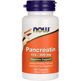 Now Foods Pancreatin 100 capsule