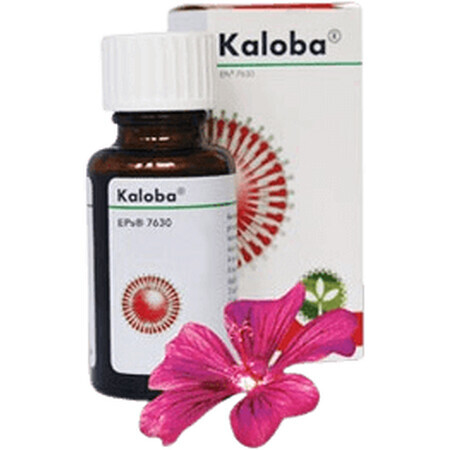 Kaloba drops 20 ml