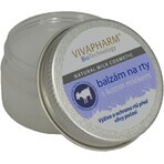 Vivapharm Lippenbalsem met geitenmelk 25 g