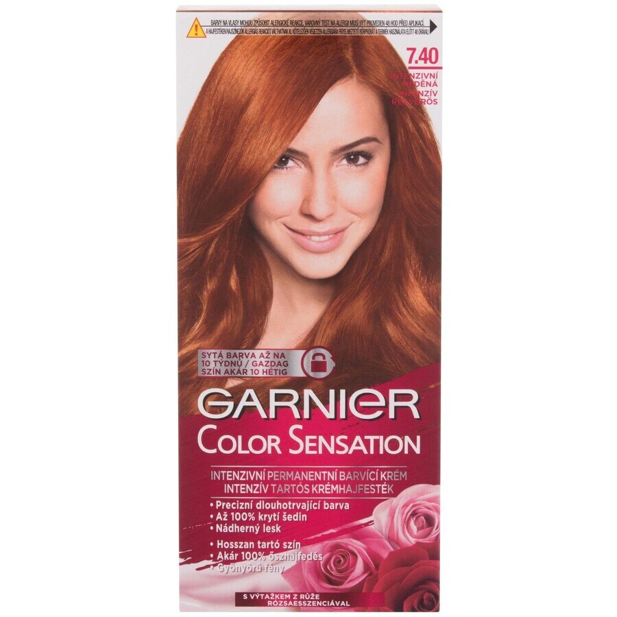 Garnier Colore Delicato Colour Sensation 7.40 Rame Intenso 110 ml