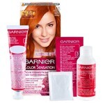 Garnier Colore Delicato Colour Sensation 7.40 Rame Intenso 110 ml