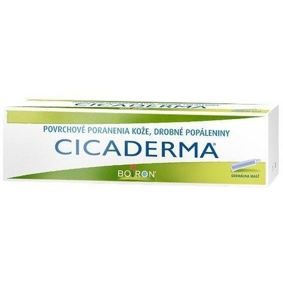 Boiron Cicaderma 30 g