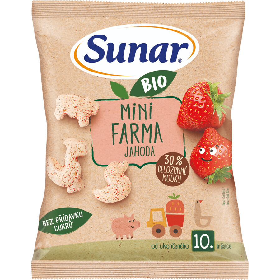 Sunar BIO baby chips mini boerderij aardbei 10m+, 18 g