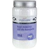 Vivapharm Geiten Badzout 1200 g