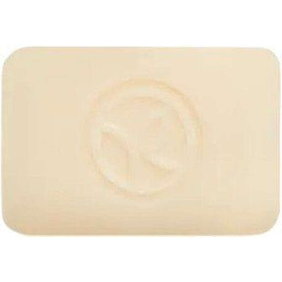 Yves Rocher Mango & Koriander Zeep 80 g