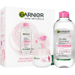 Garnier Skin Naturals Rose Pacchetto Natale 2023 - crema + acqua micellare