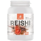 Allnature Reishi 100 cápsulas