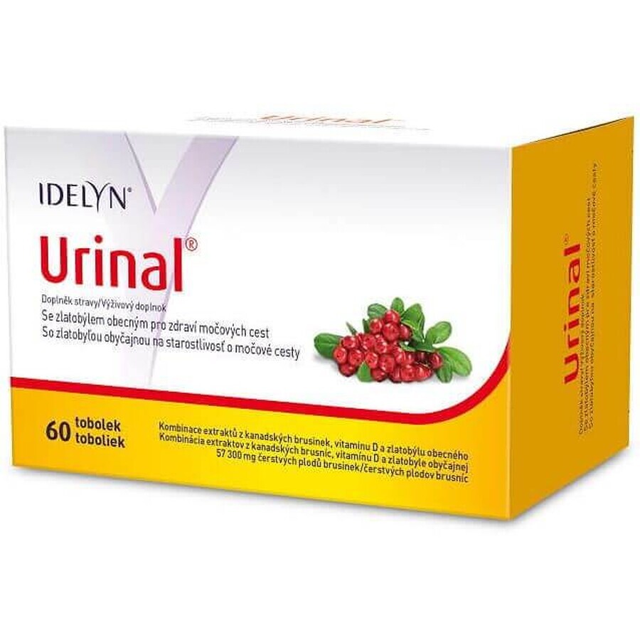 Idelyn Urinaal 60 capsules