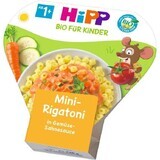 HiPP BIO Mini Rigatoni with vegetables in creamy sauce 250 g