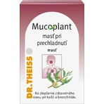 Mucoplant Verkoudheidszalf 50 g
