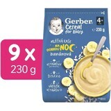 Gerber Lait Céréales Avoine Porridge Banane Bonne nuit 9 x 230 g