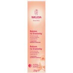 Weleda Nipple Balm 25 g