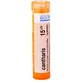 Boiron Cantharis CH15 korrel 4 g