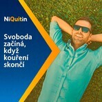 Niquitine mini 4mg tabletten 3 x 20 tabletten