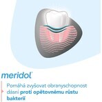 Dentifricio Meridol Protezione Gengive & Bianco Delicato 3 x 75 ml