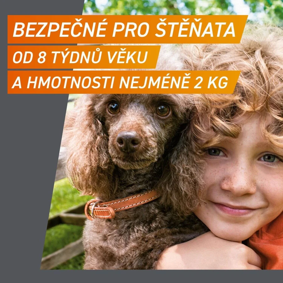 FRONTPRO Antiparasitaire kauwtabletten voor honden (10-25 kg) 3 stuks