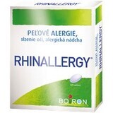 Boiron Rhinallergy 60 tabletten