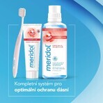 Meridol Complete Care tandpasta voor gevoelige tanden en tandvlees 75 ml