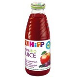 HiPP Suc organic de fructe roșii cu fier 500 ml