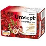 Urosept Kräutertee urologisch 20 x 2 g