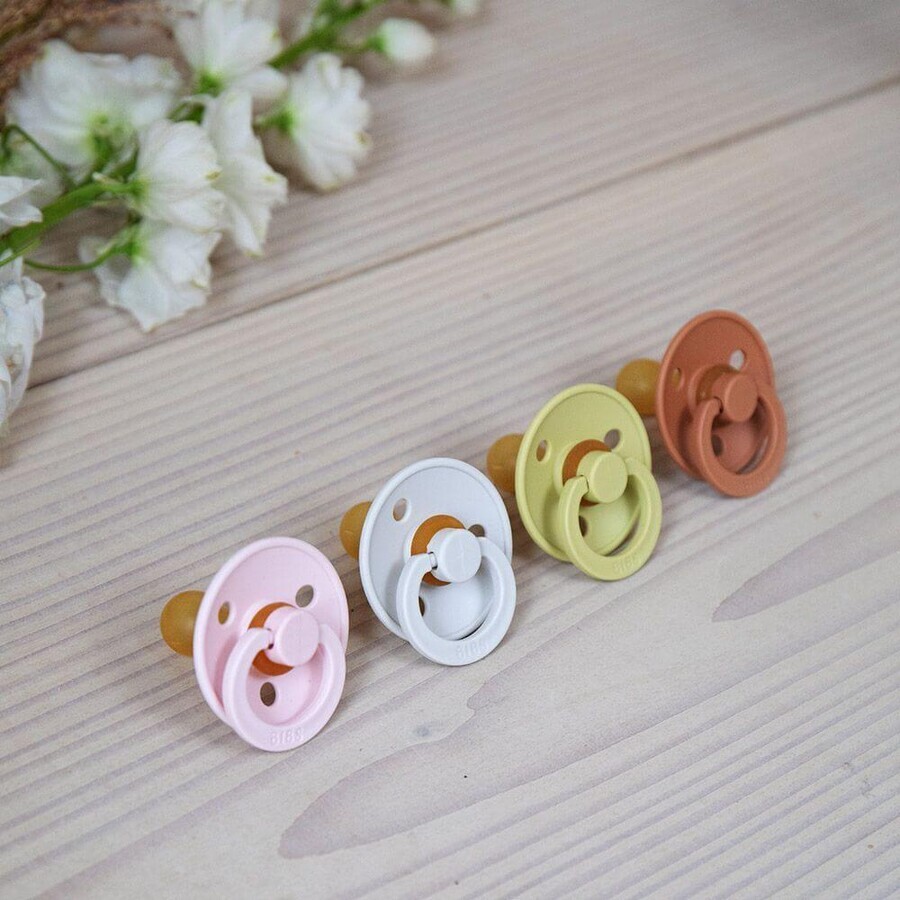 BIBS Colour natural rubber soothers BIBS Colour - , size 3, Sage Night/Cloud Night 2 pcs