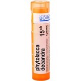 Boiron Phytolacca Decandra CH15 korrel 4 g