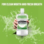 Listerine Naturals Zahnfleischschutz 2 x 500 ml