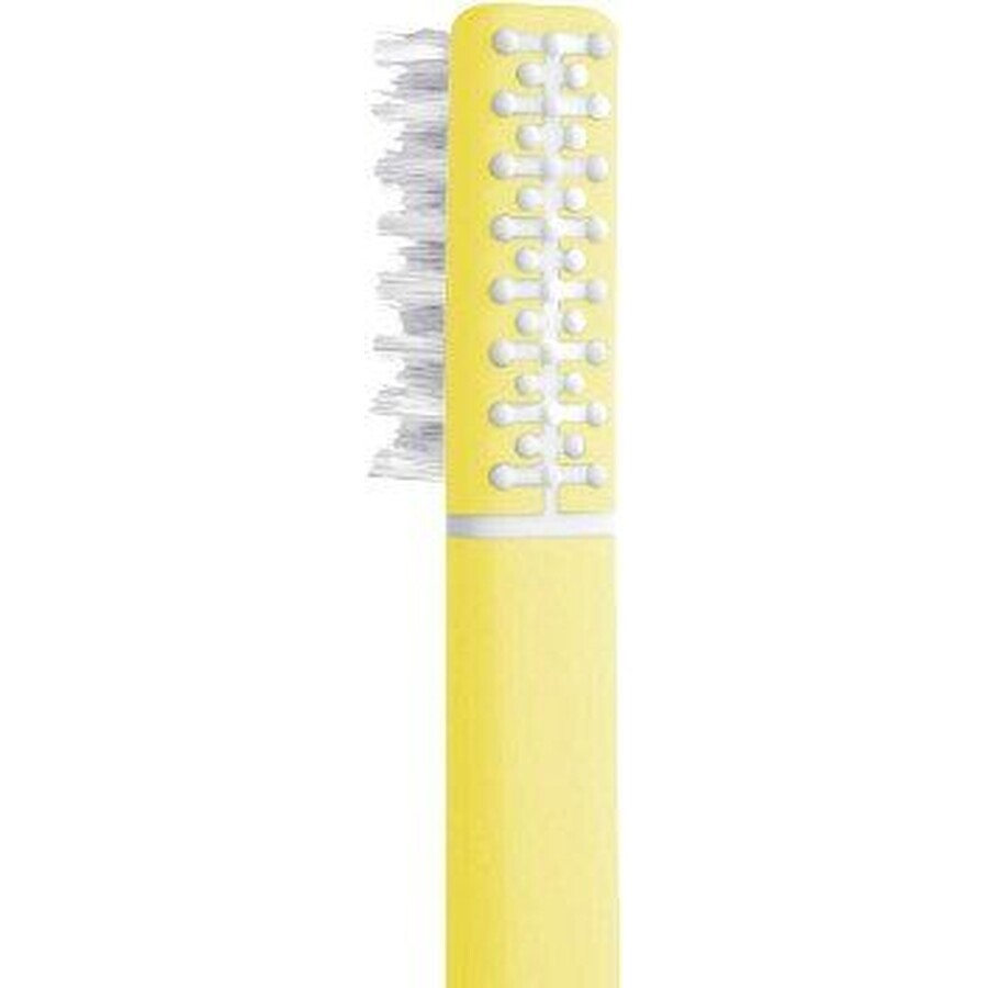 Brosse à dents en plumes avec échinacée + support, jaune doux