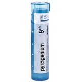 Boiron Pyrogenium CH9 korrel 4 g