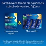 Niquitin Mini 4mg 20 pillen